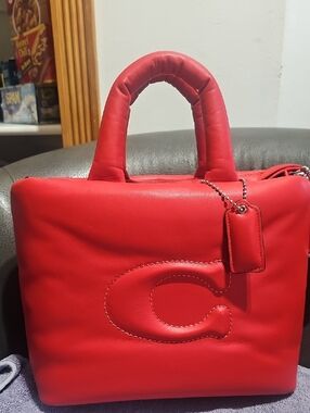 Coach Red Pillow Bag